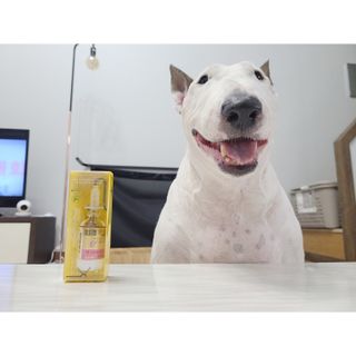 단발모리님이 올린 리뷰 사진 1
