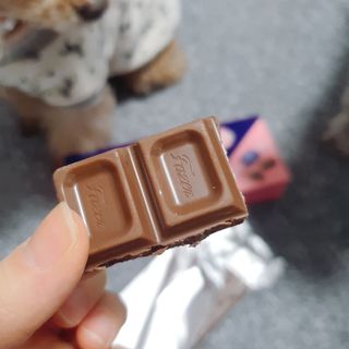 김이설님이 올린 리뷰 사진 4