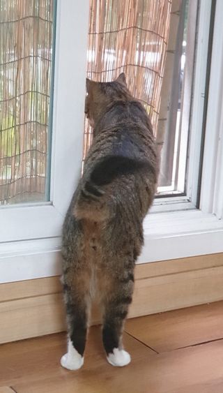무ㅗ왜뭐님이 올린 리뷰 사진 3