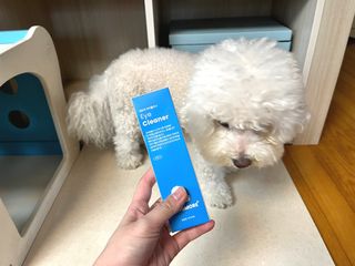 [댕모어 클리너 3종] 아이클리너 / 이어클리너 / 덴탈클리너 3종 세트 (120ml) — 5점을 준 리뷰어가 2023년 9월 올린 사용 사진
