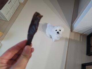 쏘이님이 올린 리뷰 사진 1