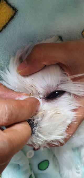 돌삐님이 올린 리뷰 사진 3
