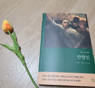 연블리님이 올린 리뷰 사진 1