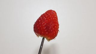 옳음 딸기 논산 설향 딸기 900g 산지직송 — 4점을 준 리뷰어가 2021년 1월 올린 사용 사진