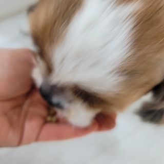 가루파랑님이 올린 리뷰 사진 2