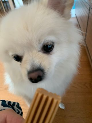 별이빛나길님이 올린 리뷰 사진 4