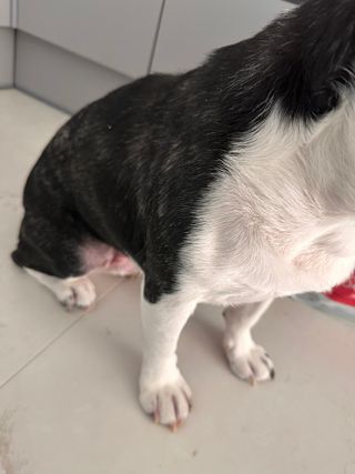 또용님이 올린 리뷰 사진 3