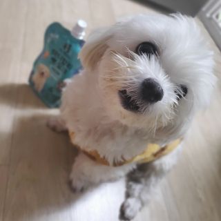 힙스터펭님이 올린 리뷰 사진 2