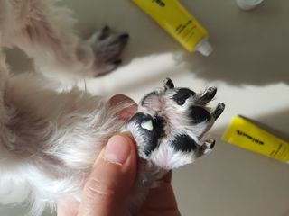 민우다빈이맘님이 올린 리뷰 사진 1