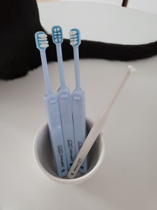 오둥이맘님이 올린 리뷰 사진 4