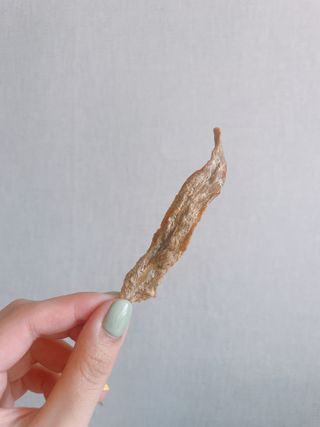 연쨩님이 올린 리뷰 사진 4