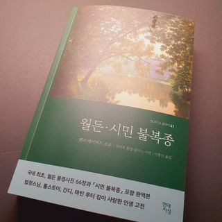 채채님이 올린 리뷰 사진 2