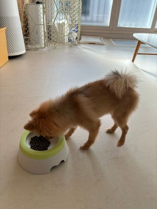 다영님이 올린 리뷰 사진 1