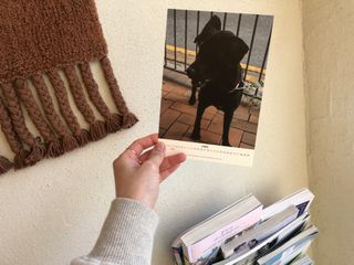 베리베리님이 올린 리뷰 사진 2