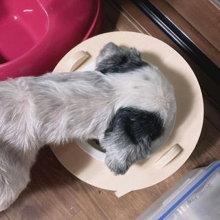 김옥지다님이 올린 리뷰 사진 4