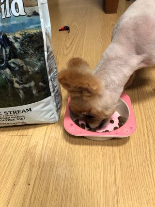 다솜이마마님이 올린 리뷰 사진 3