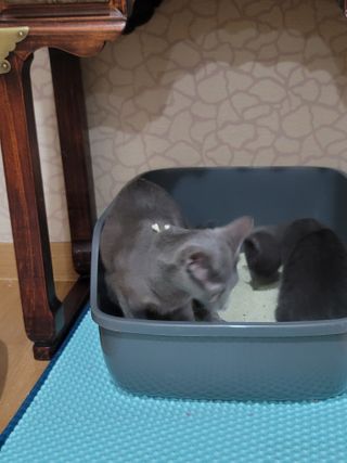 서빵맘님이 올린 리뷰 사진 3