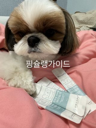 박코끼리님이 올린 리뷰 사진 2