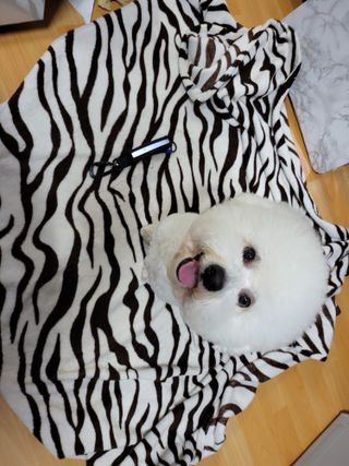 최보경님이 올린 리뷰 사진 2