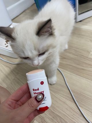 율집사님이 올린 리뷰 사진 2