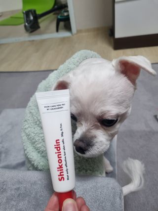 [자유펫] 시코니딘 고양이 강아지 피부 보습 연고 20g — 5점을 준 리뷰어가 2021년 11월 올린 사용 사진