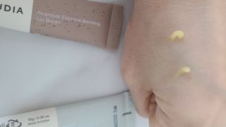 [후르디아] 올리브영 착한보습 비건 립버터 2종 — 5점을 준 리뷰어가 2022년 12월 올린 사용 사진