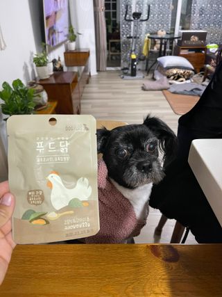 도그퓨어 푸드닭 강아지 닭고기 통살 애견간식 오리지널/차전자피/초록입홍합 — 5점을 준 리뷰어가 2021년 10월 올린 사용 사진