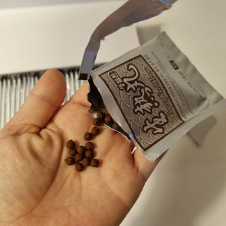 달코낭님이 올린 리뷰 사진 1