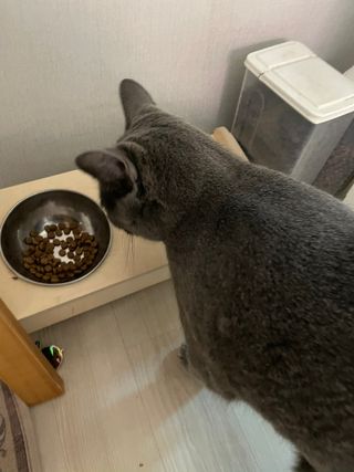 Hhaby님이 올린 리뷰 사진 1