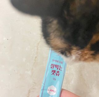 페페로니 잘 먹는 캣츄 - 원양선 참치 24개입 — 5점을 준 리뷰어가 2021년 10월 올린 사용 사진