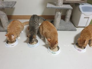 5냥2멍님이 올린 리뷰 사진 3