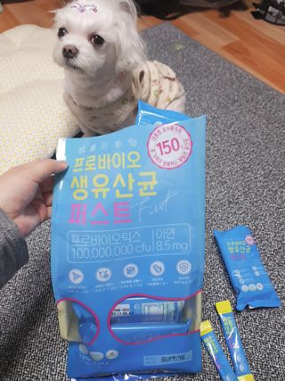 헬스업 핼스업 프로바이오 생유산균 퍼스트 — 5점을 준 리뷰어가 2021년 1월 올린 사용 사진