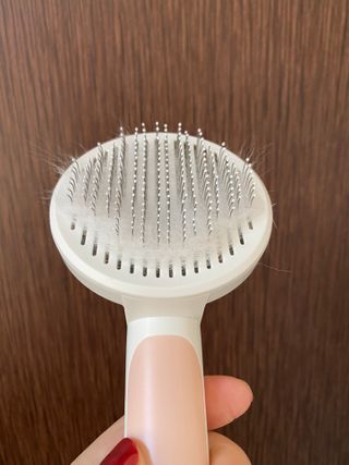 엘마마님이 올린 리뷰 사진 4