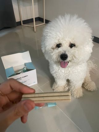 페페로니 클린플러스 덴탈치킨껌 10g x 14p — 5점을 준 리뷰어가 2021년 7월 올린 사용 사진
