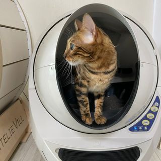 지름신님이 올린 리뷰 사진 4