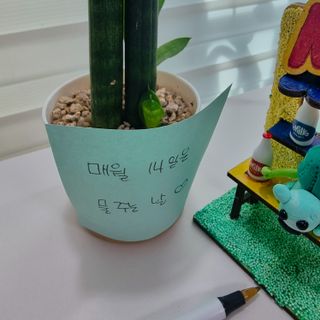 kikiday님이 올린 리뷰 사진 3