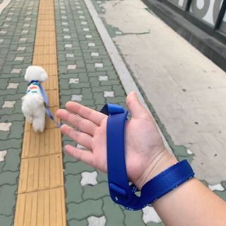 베이컨박스 [BACON] 고아웃클럽 이지그립 리드줄, 목줄 세트-BLUE — 5점을 준 리뷰어가 2021년 7월 올린 사용 사진