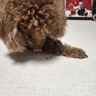 산이네ෆ˙ ᵕ ˙ෆ님이 올린 리뷰 사진 4