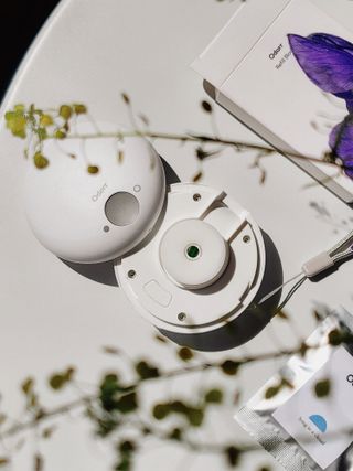 젤리님이 올린 리뷰 사진 3