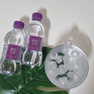 몽베스트 [MONTBEST] 330mL 20병 — 5점을 준 리뷰어가 2023년 7월 올린 사용 사진