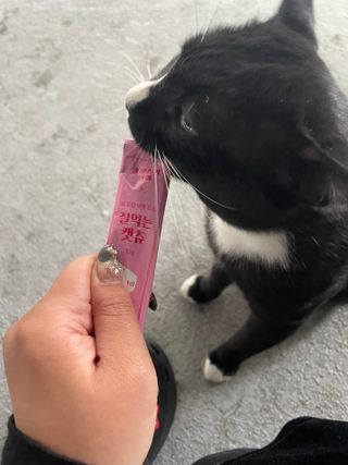 순이츠님이 올린 리뷰 사진 3