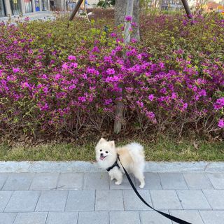 캐롯님이 올린 리뷰 사진 3