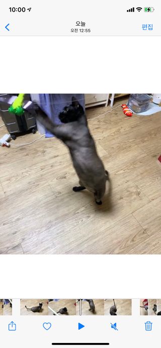 수린님이 올린 리뷰 사진 4