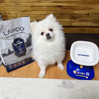 [푸디웜] 라포그 리얼인섹트 소프트키블 스킨 1KG — 5점을 준 리뷰어가 2022년 9월 올린 사용 사진