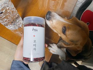 cobemom님이 올린 리뷰 사진 2