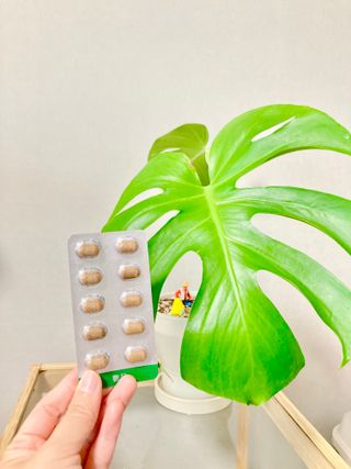 라라님이 올린 리뷰 사진 3