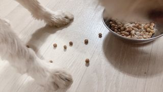 또왔엉님이 올린 리뷰 사진 4