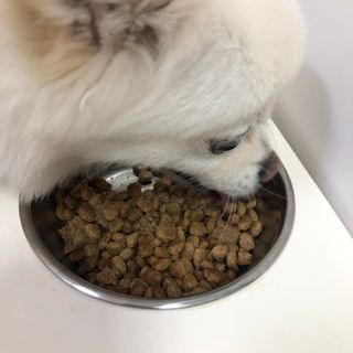 여름님이 올린 리뷰 사진 3
