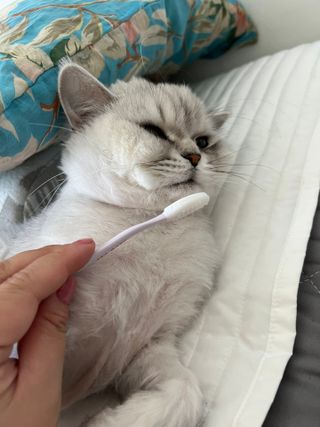 둠둠힝님이 올린 리뷰 사진 3