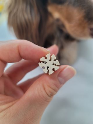 페페로니 클린플러스 덴탈치킨껌 10g x 14p — 5점을 준 리뷰어가 2021년 7월 올린 사용 사진